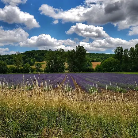 Bed and Breakfast Bounetis Bas D'hotes Lauzerte
